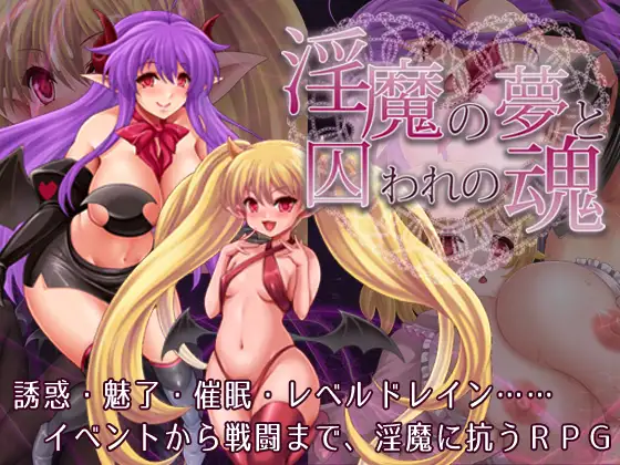 同人「淫魔の夢と囚われの魂」感想